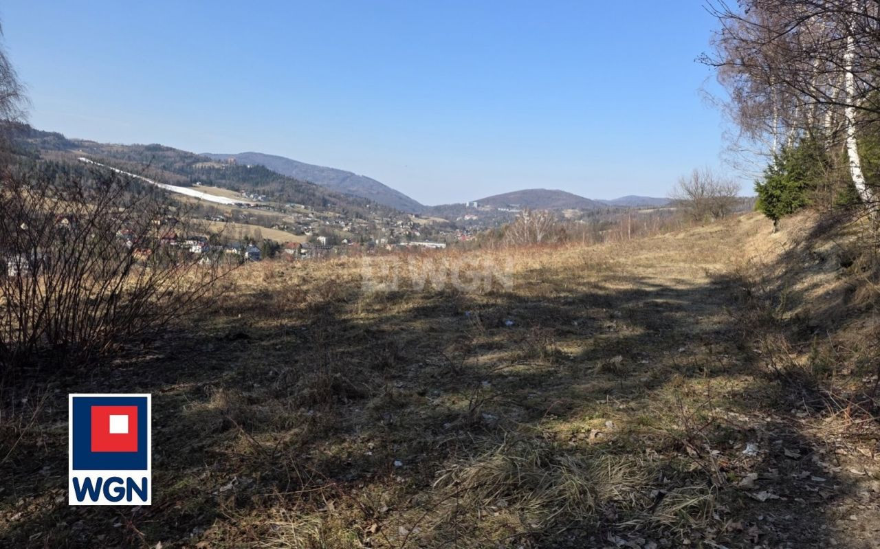 gratka-30435 - Więcej