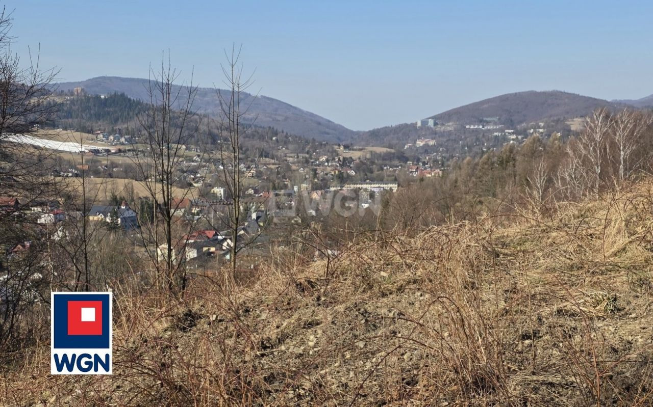 gratka-30435 - Widok 3