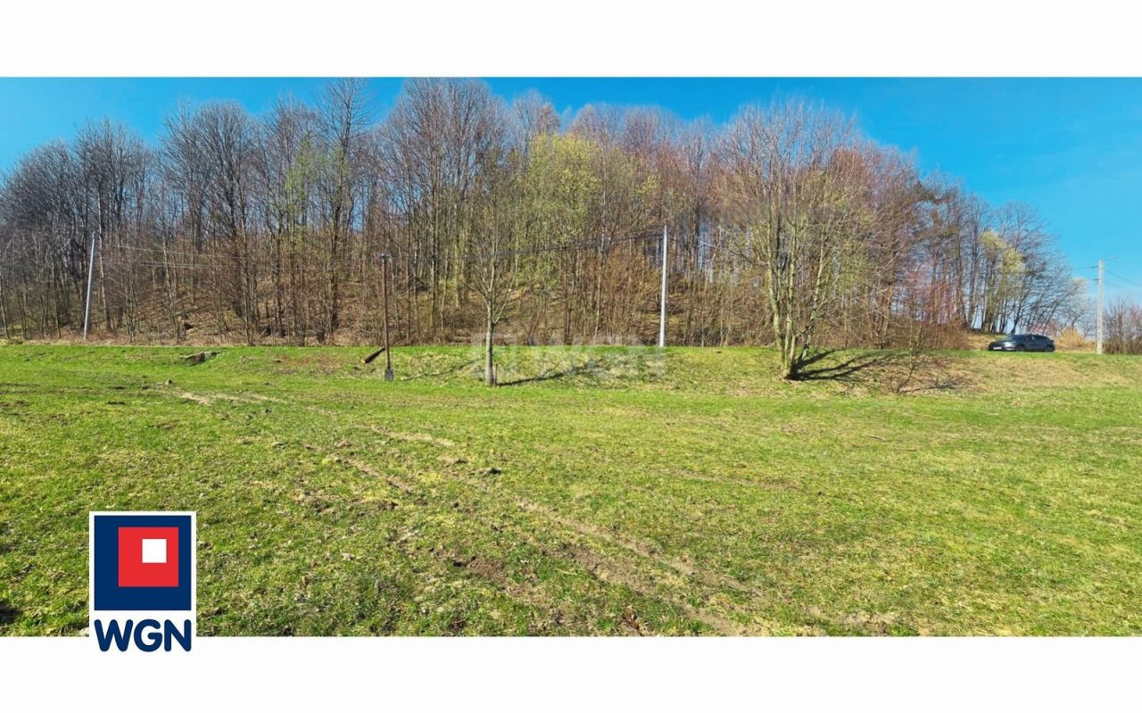 gratka-30376 - Więcej