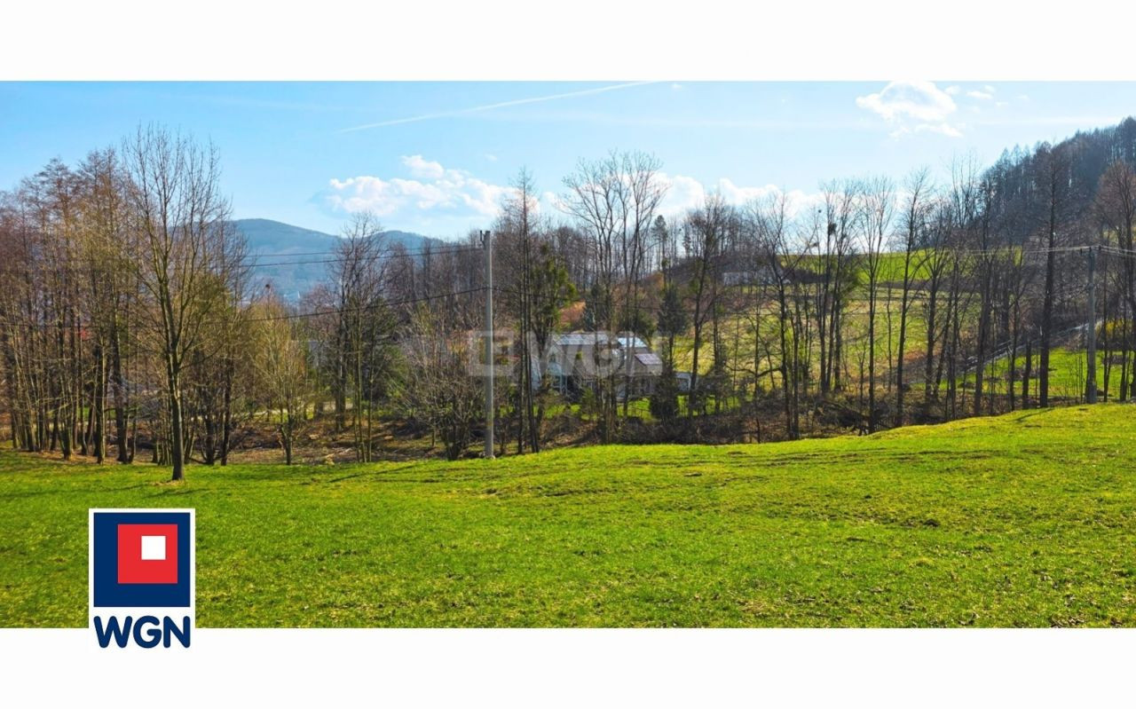 gratka-30376 - Widok 5