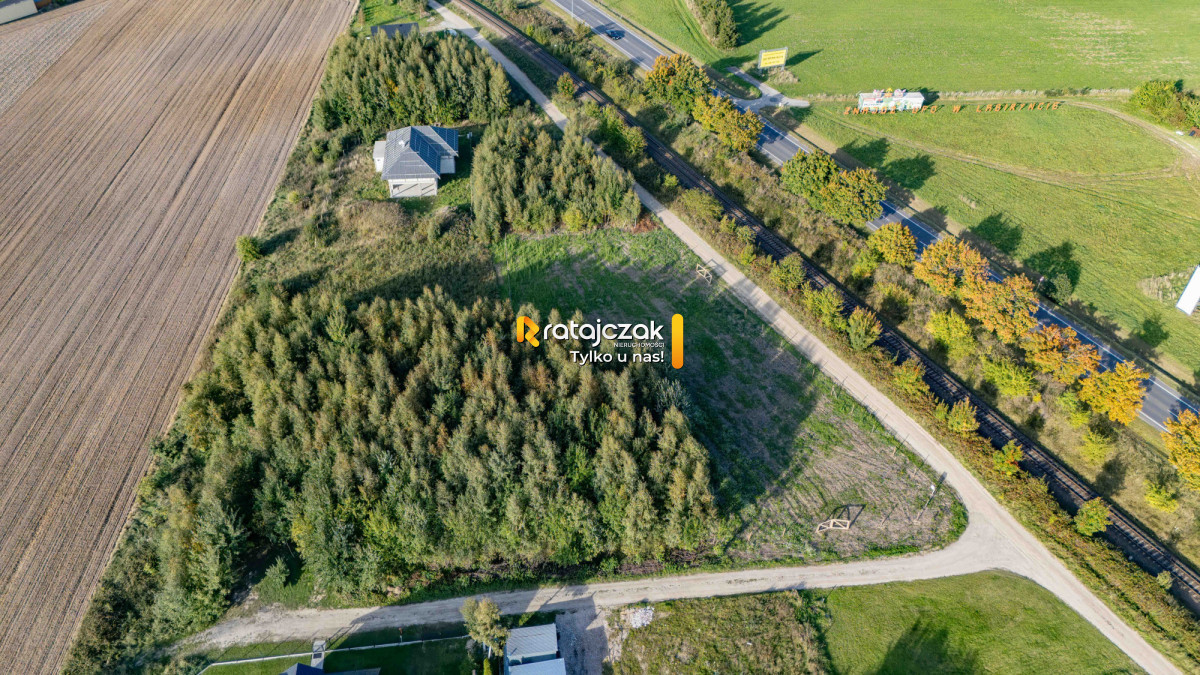Działka 1001 m² | Widok w kierunku Zatoki Puckiej - Widok 3