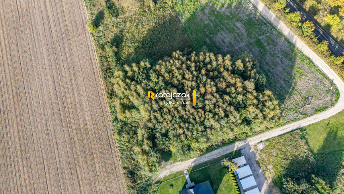 Działka 1001 m² | Widok w kierunku Zatoki Puckiej - Widok 5