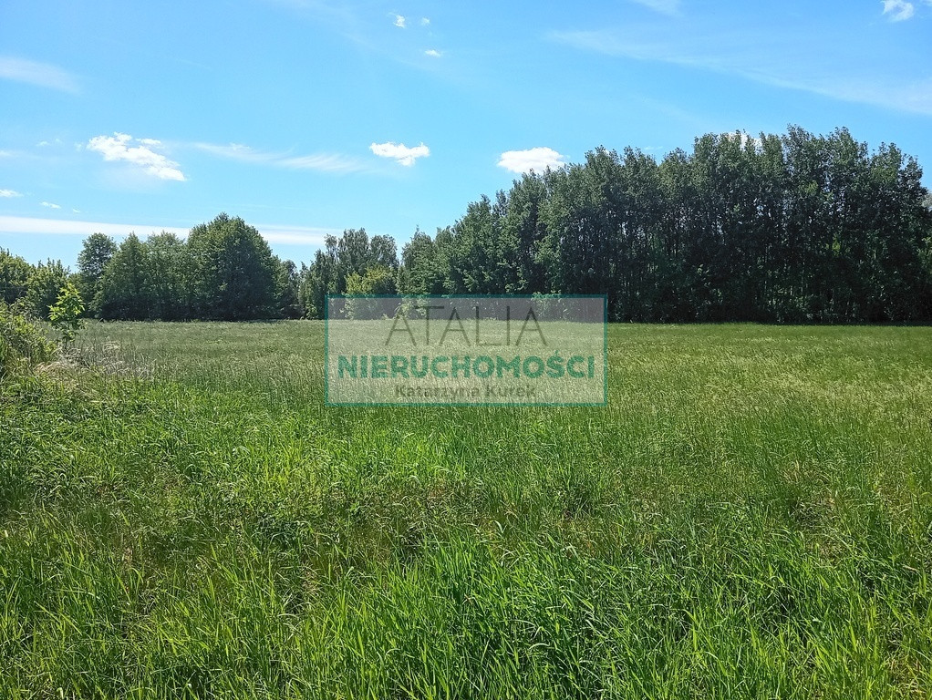 Piekna działka wśród zieleni 3700m2