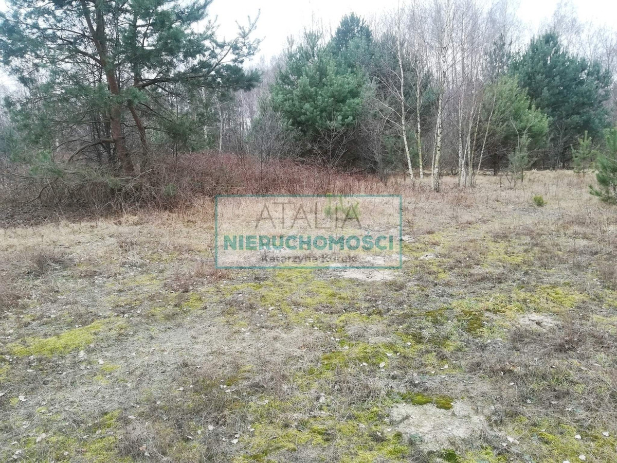 Atrakcyjna działka 1500 m² Czarny Las - Więcej