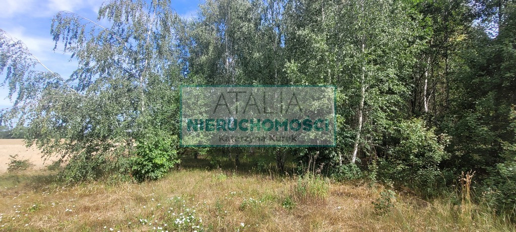 3000 m² x 5, WZ, 40 min od W-wy - Widok 2