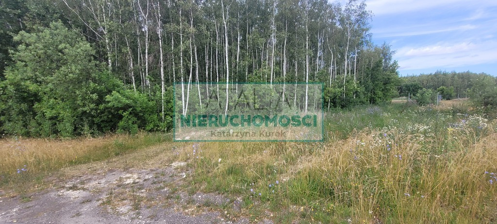 3000 m² x 5, WZ, 40 min od W-wy - Widok 4