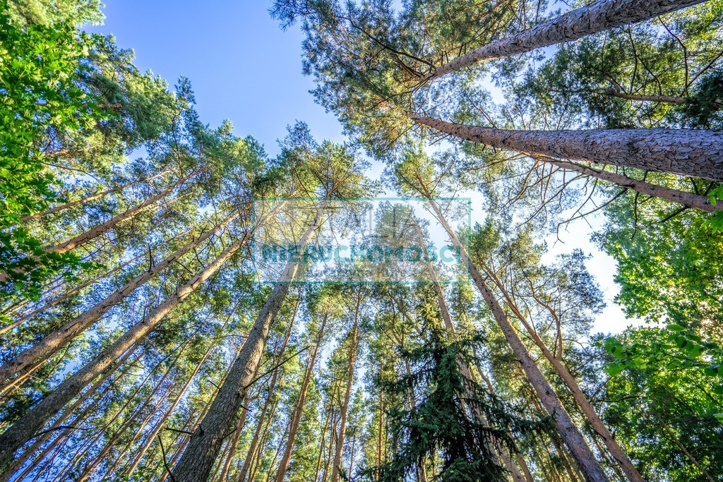 Działka z dostępem do rzeczki, 4063 m², Adamów Wieś - Widok 4