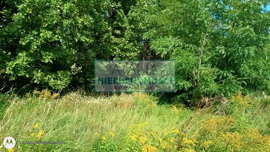 gratka-6680/6166/OGS - Widok 5