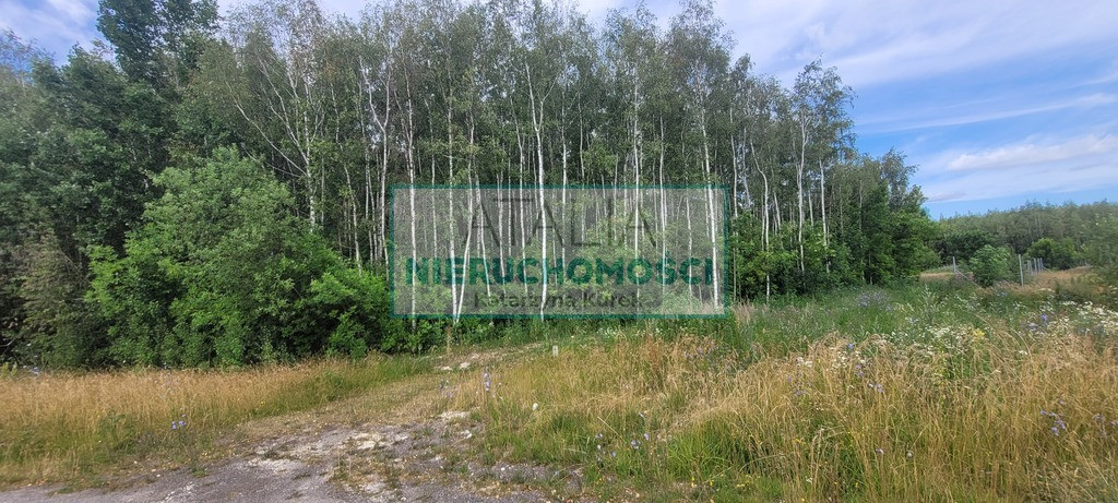 3000 m² x 5, WZ, 40 min od W-wy - Więcej