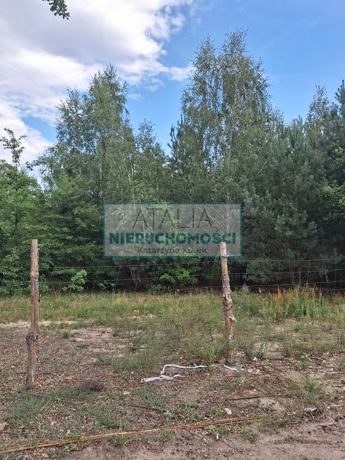 Dom – Grodzisk Mazowiecki - Widok 2