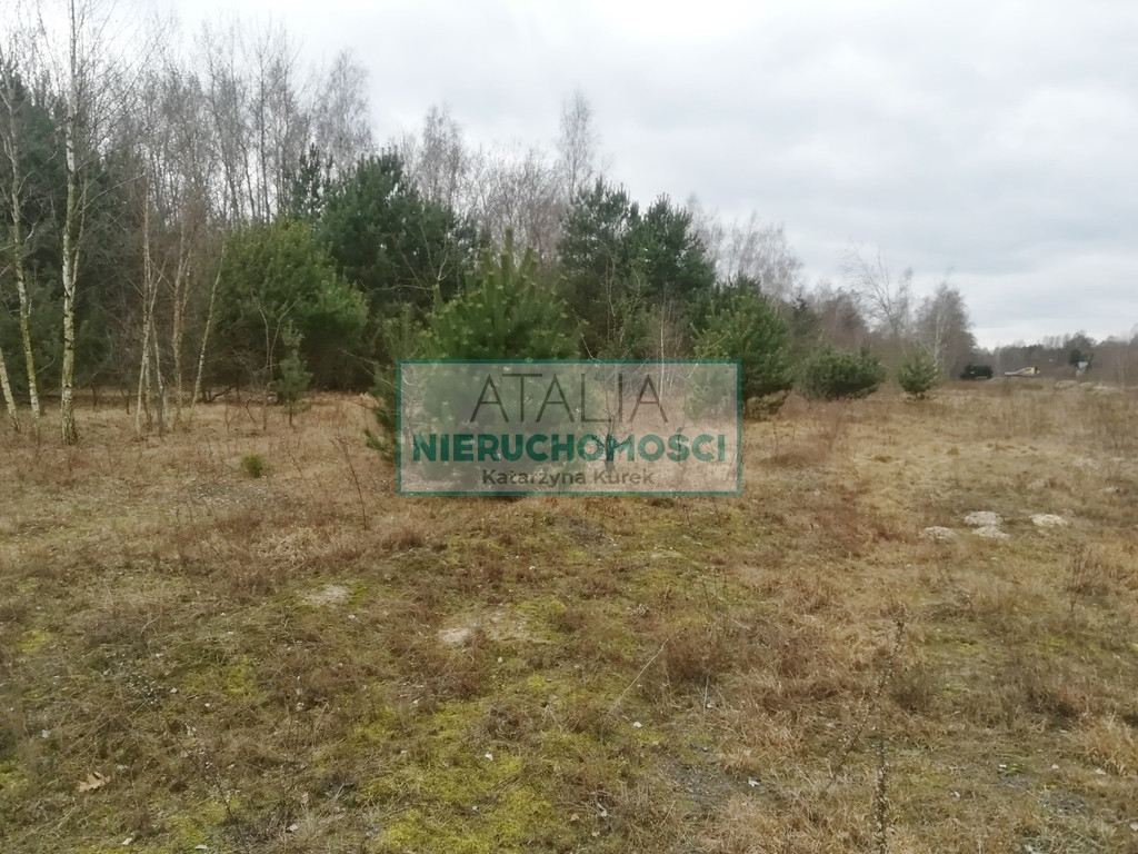 Atrakcyjna działka 1500 m² Czarny Las - Widok 2