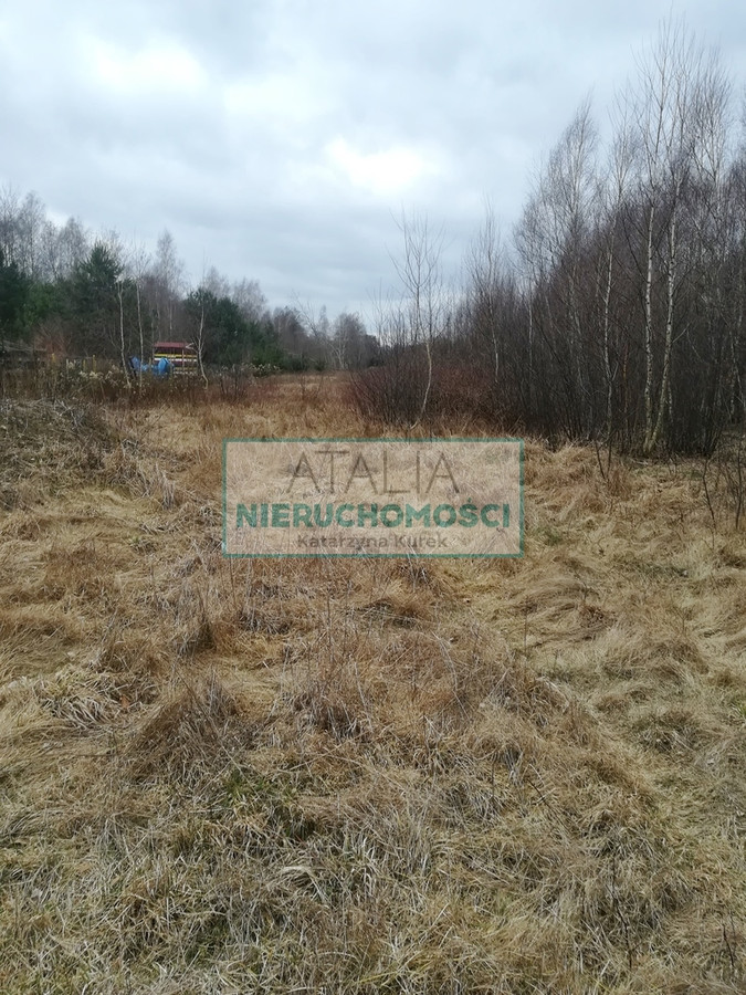 Atrakcyjna działka 1500 m² Czarny Las - Widok 4