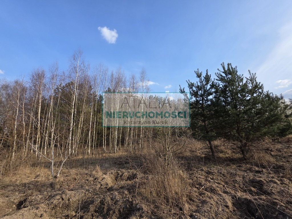 1200 m², S8, MPZP, szkoła podstawowa - Widok 5