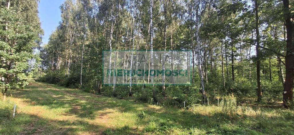 Pod Twój dom, 5 min. do Grodziska Maz - Widok 4
