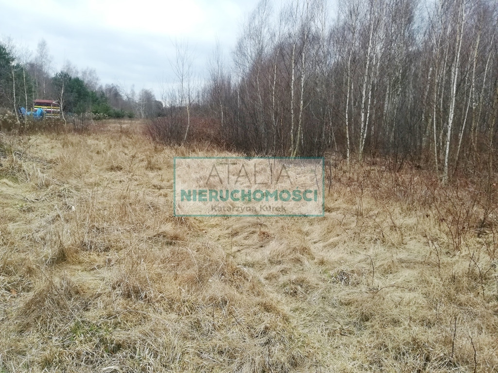 Atrakcyjna działka 1500 m² Czarny Las - Widok 5