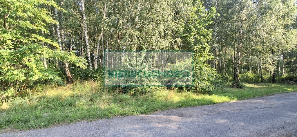 Pod Twój dom, 5 min. do Grodziska Maz - Widok 5