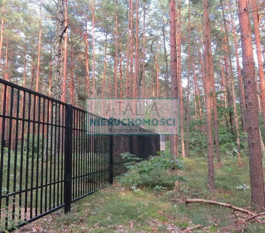 Działka budowlana z lasem MpZp - Widok 3