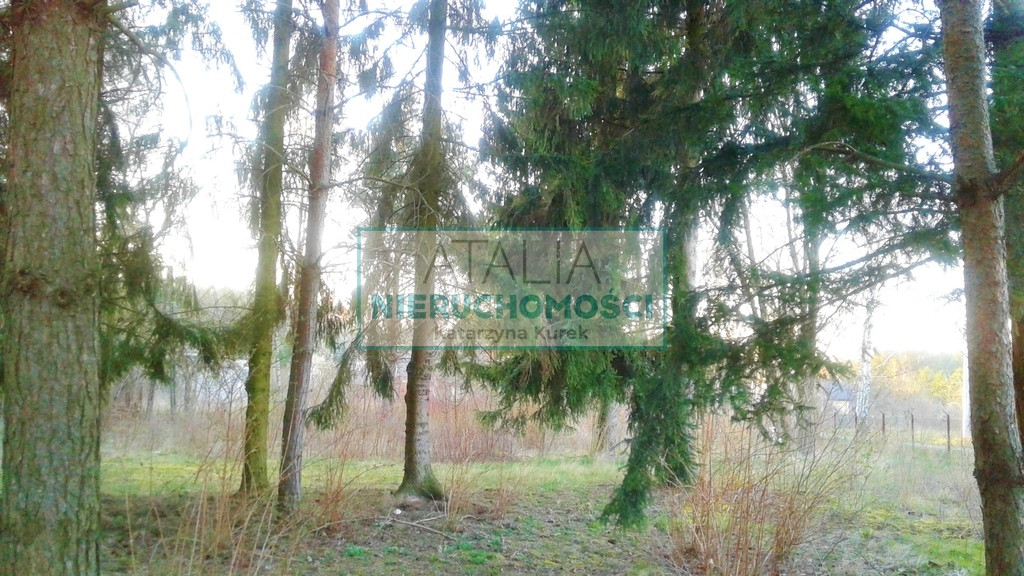 Działka nad zalewem, 20 min.do Warszawy - Widok 3