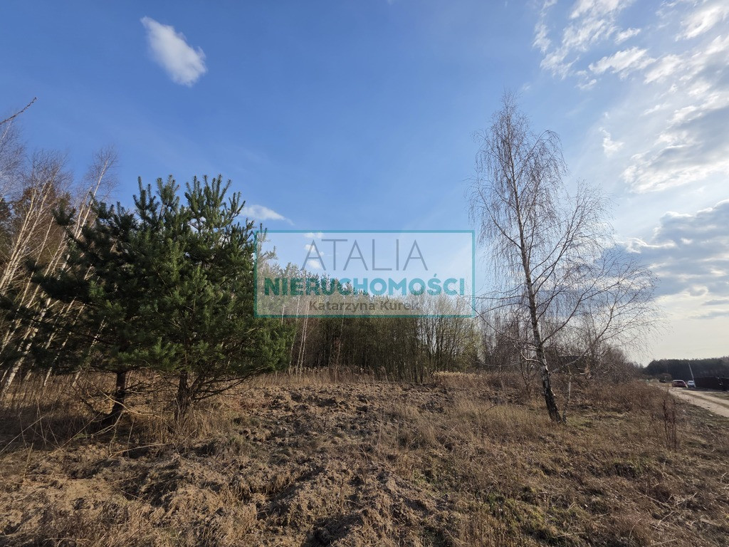 1200 m², S8, MPZP, szkoła podstawowa - Więcej