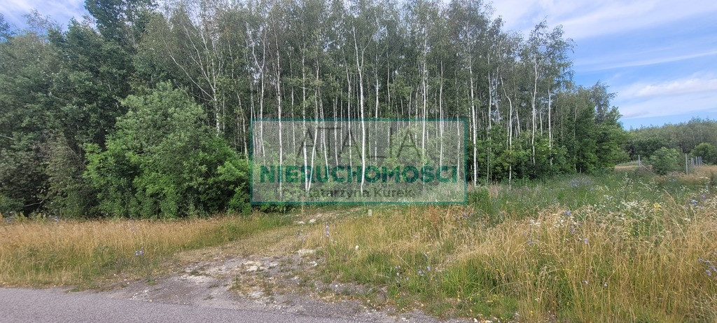 3000 m² x 5, WZ, 40 min od W-wy - Widok 5
