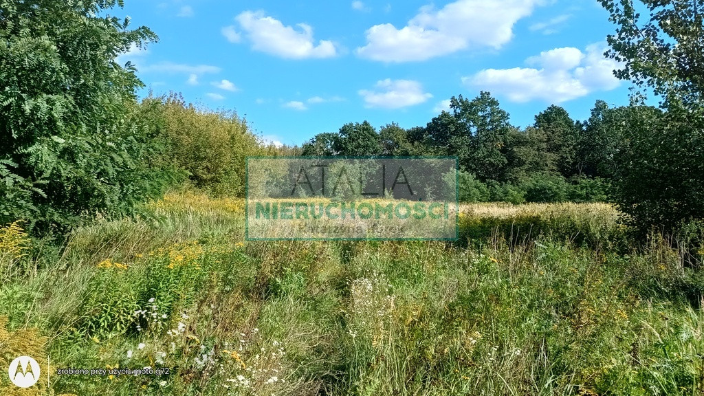 gratka-6680/6166/OGS - Widok 4