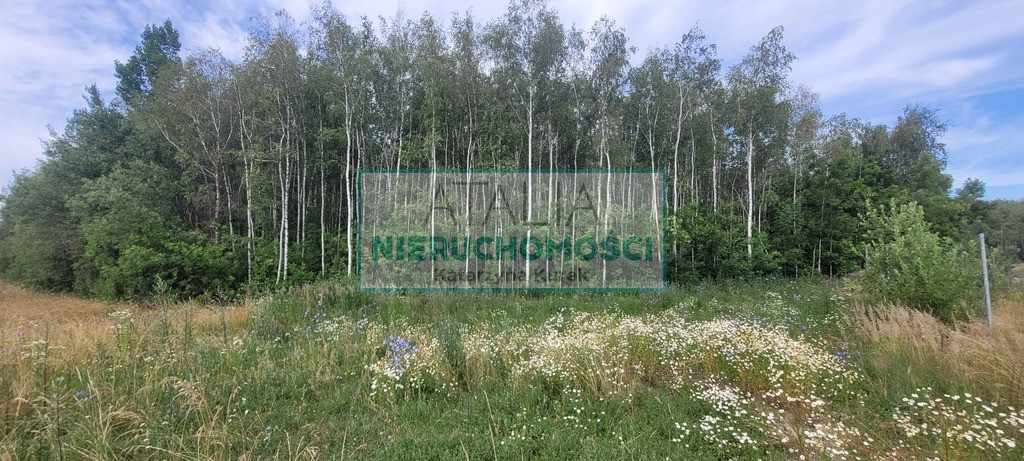 3000 m² x 5, WZ, 40 min od W-wy - Widok 3