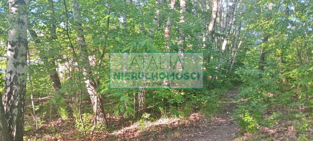 Dla ceniących sobie uroki przyrody z warunkami zab - Widok 2