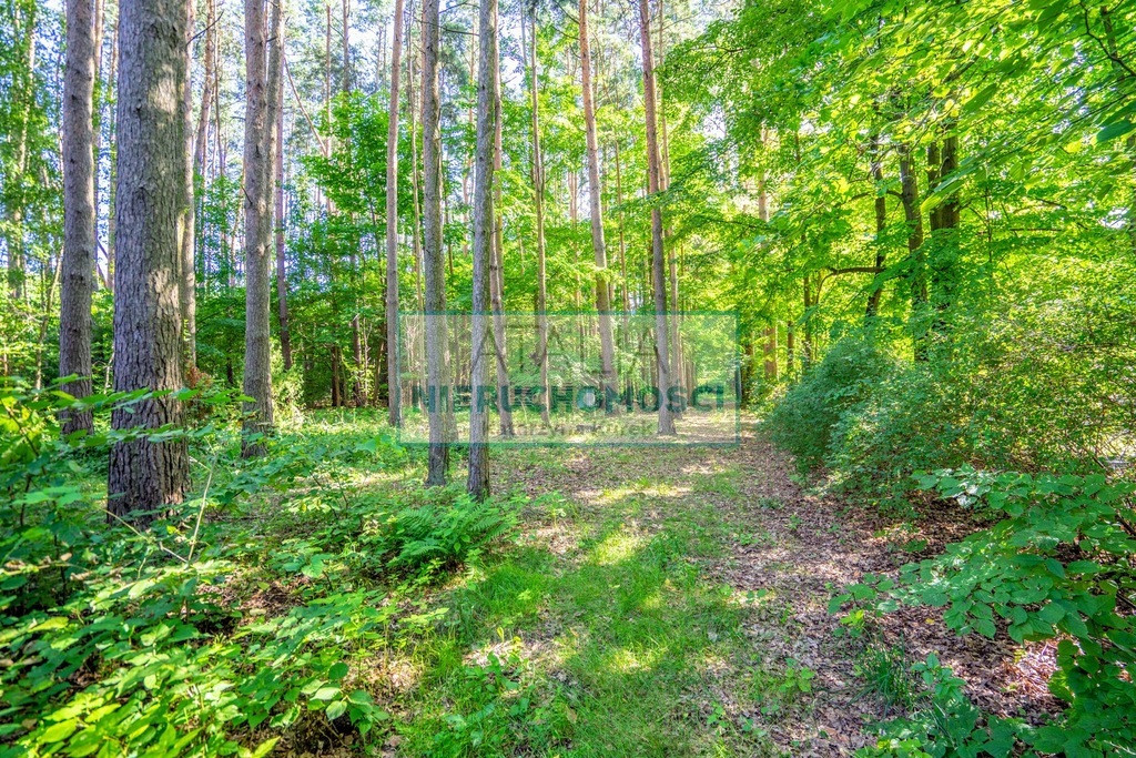 Działka z dostępem do rzeczki, 4063 m², Adamów Wieś - Widok 3