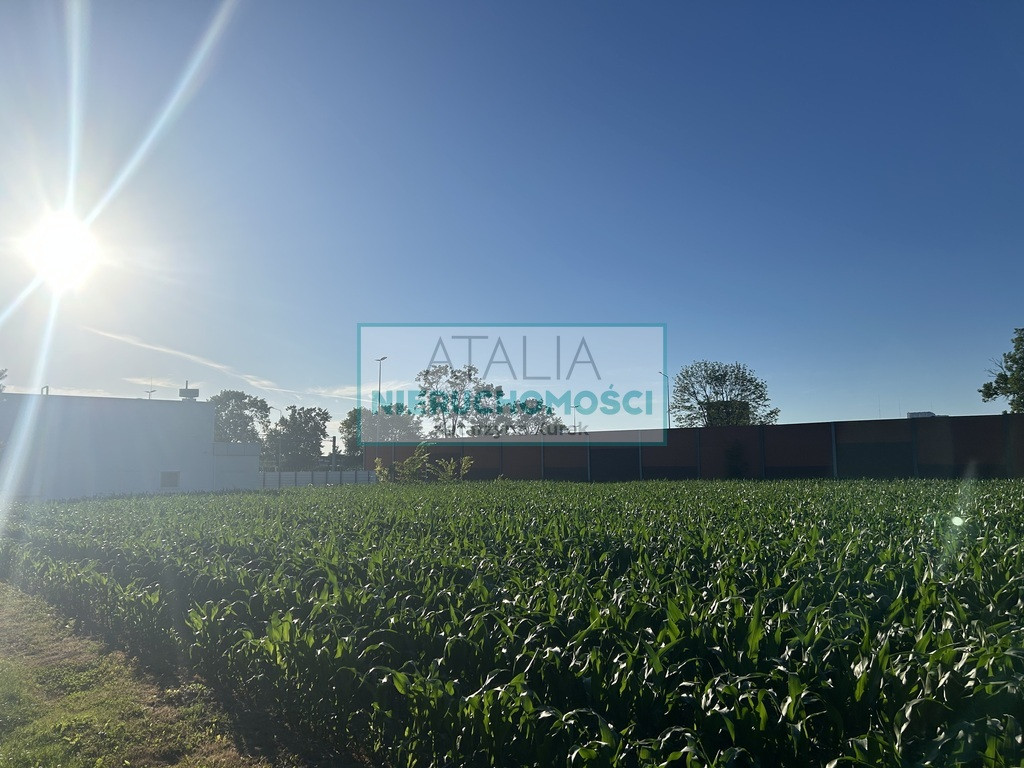 Tylko u nas!10.500 m² tereny produkcyjno-usługowe - Widok 2