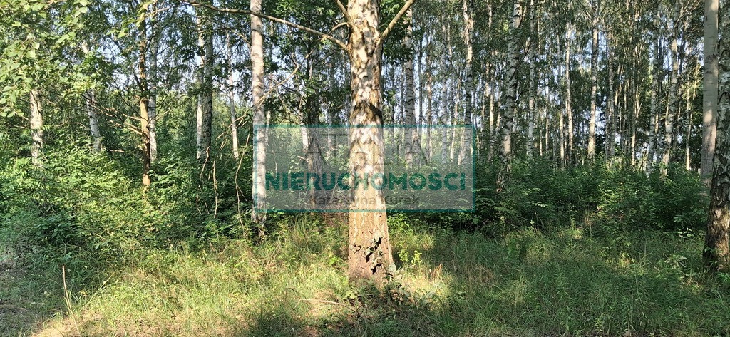 Pod Twój dom, 5 min. do Grodziska Maz - Widok 2