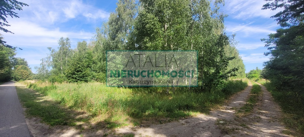 3000 m² x 5, WZ, 40 min od W-wy - Widok 6