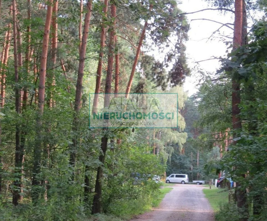 Działka budowlana z lasem MpZp - Widok 2