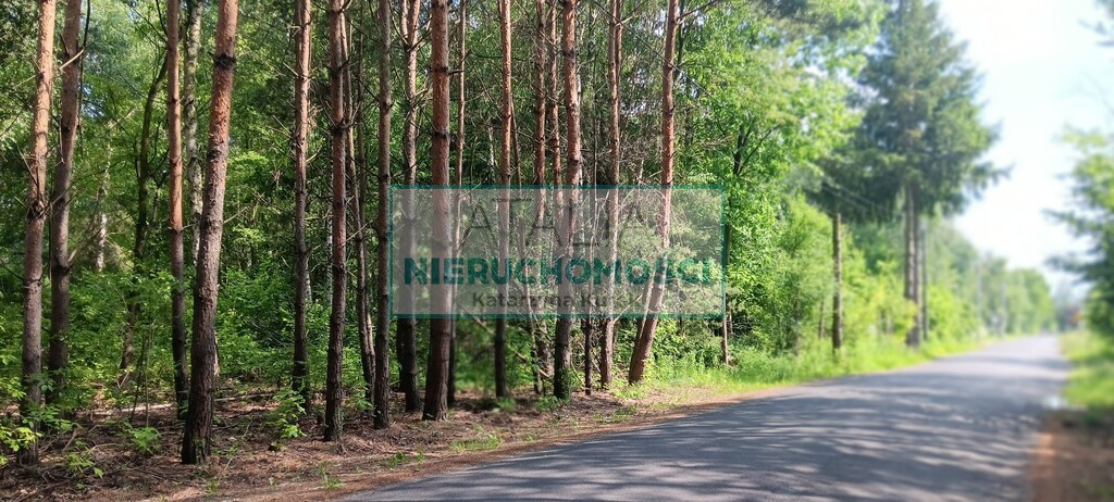 Zalesiona działka, super lokalizacji Opyp 1 km WKD - Więcej