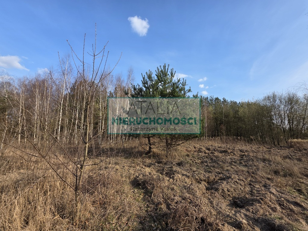 1200 m², S8, MPZP, szkoła podstawowa - Widok 2