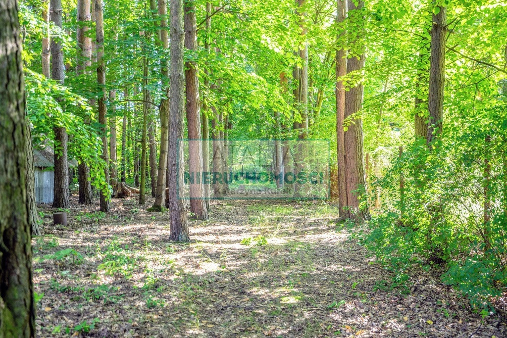 Działka z dostępem do rzeczki, 4063 m², Adamów Wieś - Widok 2