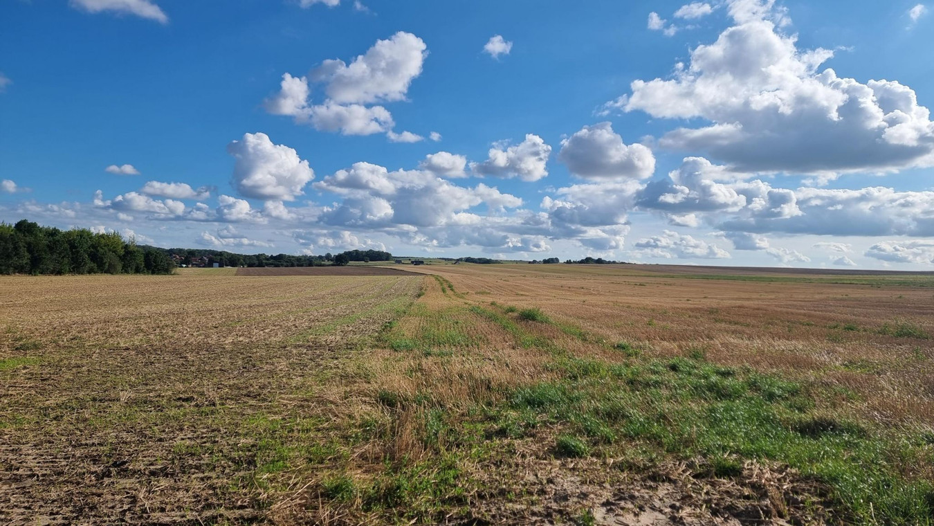 ładnie położona - Widok 2