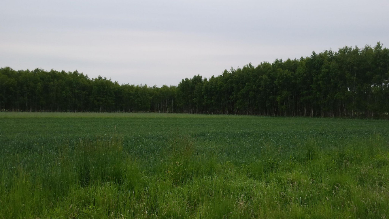 Na dobrą inwestycję - Widok 3