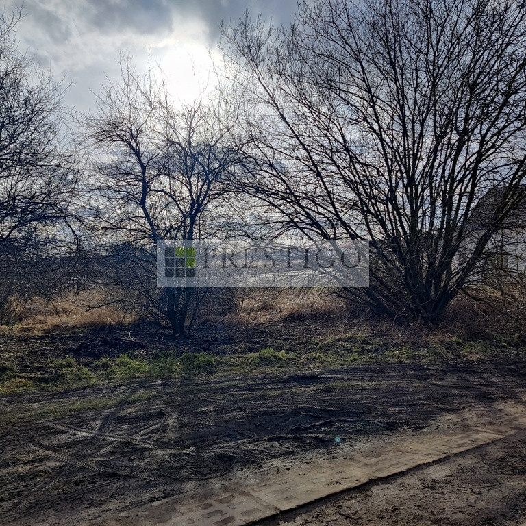 Działka pod budowę domu, 1000 m² Dołuje - Widok 4