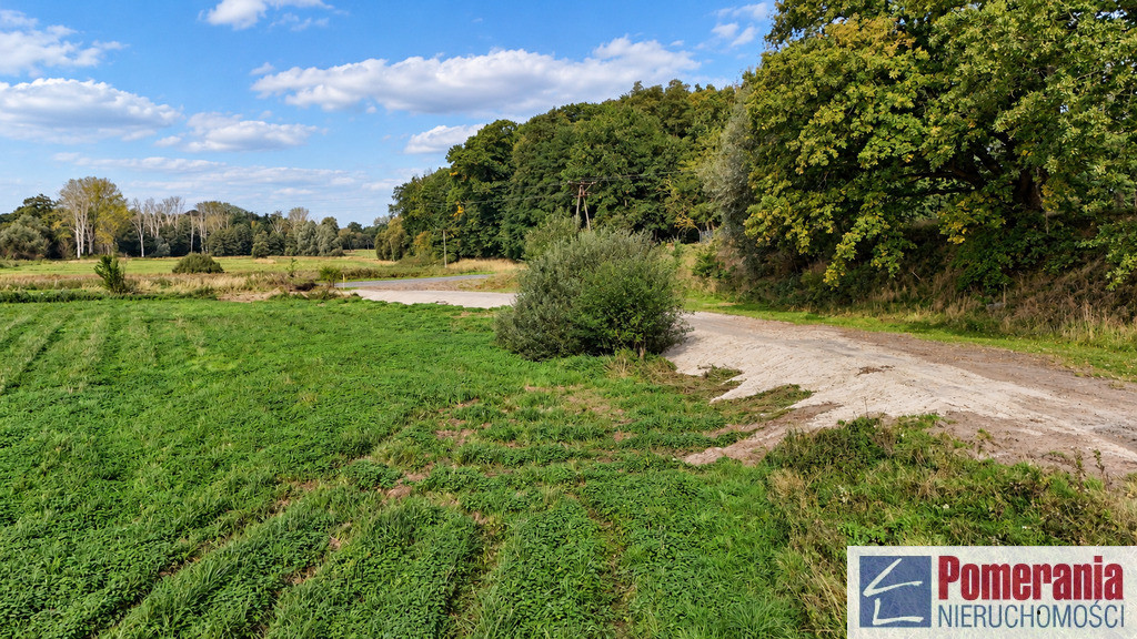 Działka Radzanek, gm. Maszewo, wydane WZ !!! 3,3ha - Widok 5