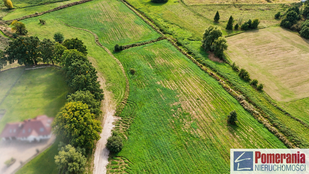 Działka Radzanek, gm. Maszewo, wydane WZ !!! 3,3ha - Widok 3