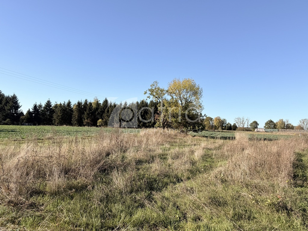 Działka- 1092 z warunkami zabudowy - Widok 5