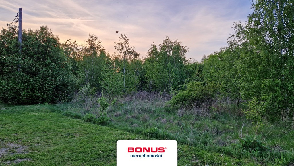 Działka 1604 m² Dębina Czosnów 30 min od Warszawy - Widok 6