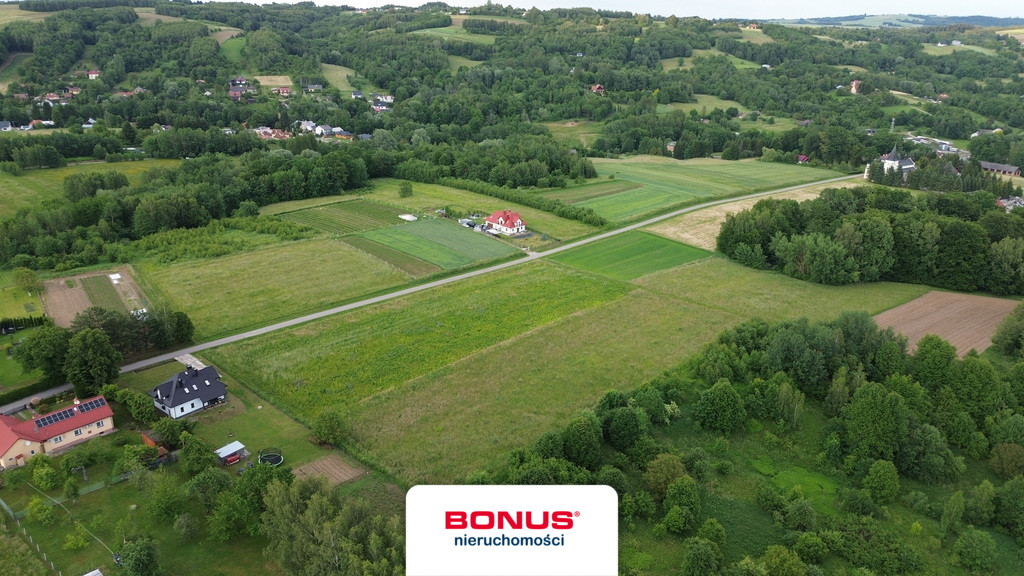 Działka rolna 1,34ha -Wola Rafałowska gm.Chmielnik - Widok 2
