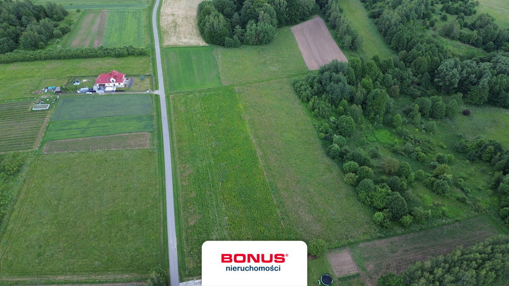 Działka rolna 1,34ha -Wola Rafałowska gm.Chmielnik - Widok 6