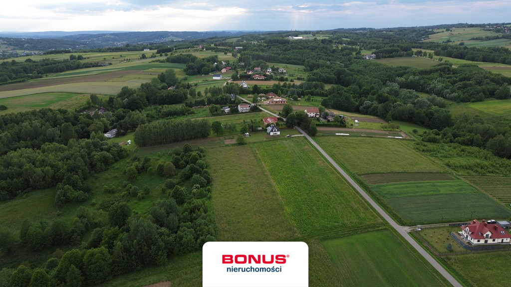 Działka rolna 1,34ha -Wola Rafałowska gm.Chmielnik - Widok 4