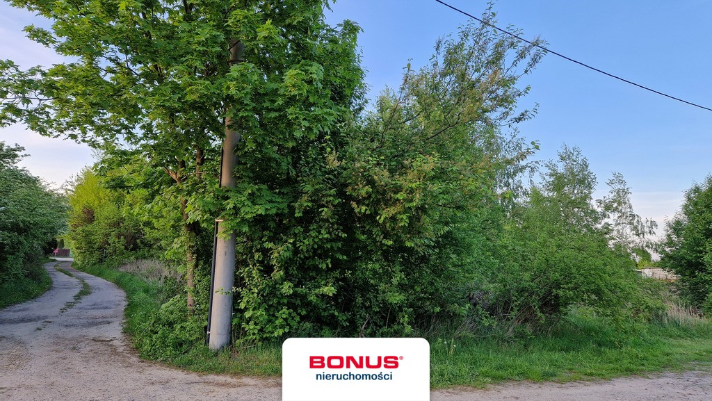 Działka 1604 m² Dębina Czosnów 30 min od Warszawy - Widok 4