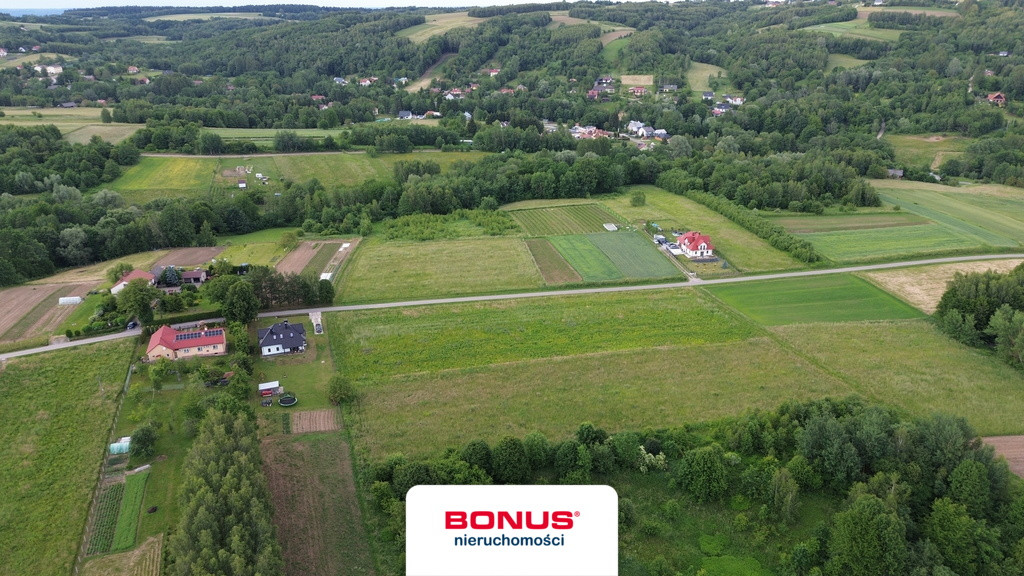 Działka rolna 1,34ha -Wola Rafałowska gm.Chmielnik - Widok 3
