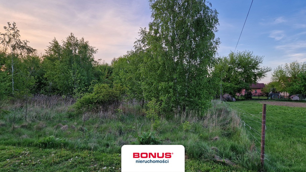 Działka 1604 m² Dębina Czosnów 30 min od Warszawy - Widok 5