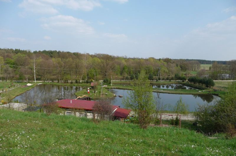 Poslovni prostor, 17076 m²