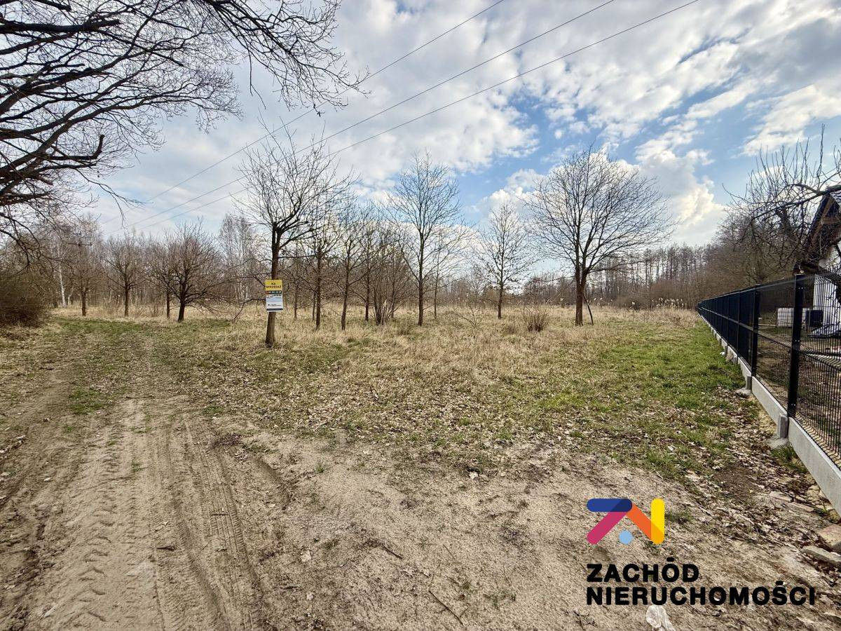 Kompleks Działek Leśna Góra - Widok 4